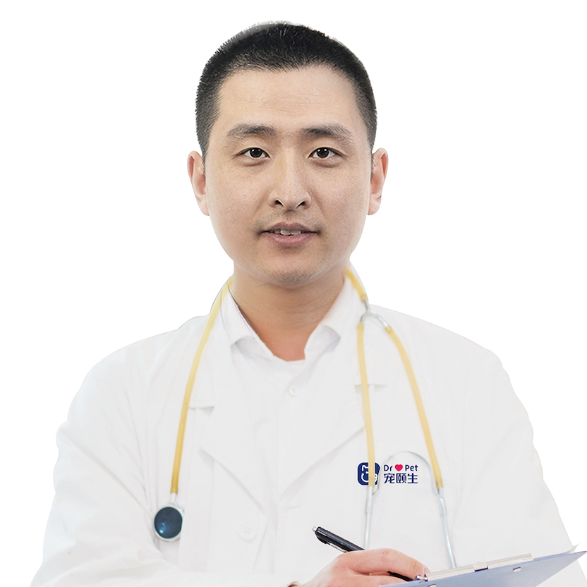 丛恒飞
